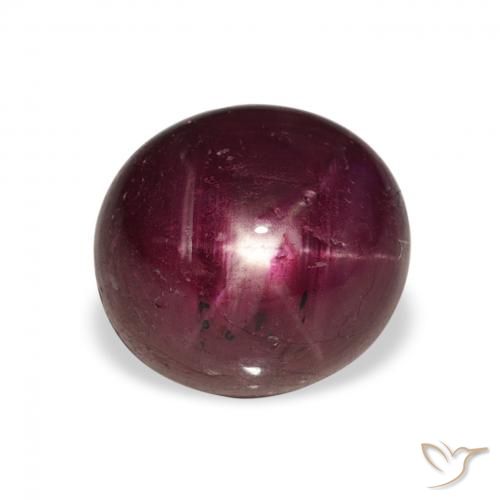 5.04ct طبيعي أحمر غامق ياقوت نجمة, بيضوي, غير شفاف