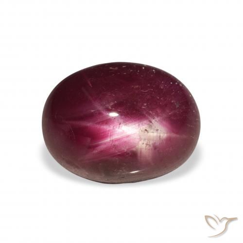 6.34ct طبيعي احمر غامق ياقوت نجمة, بيضوي, غير شفاف