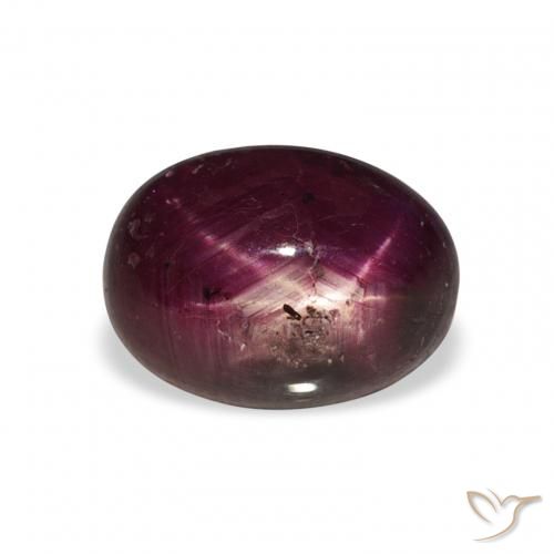 5.20ct طبيعي أحمر أرجوانى غامق ياقوت نجمة, بيضوي, غير شفاف