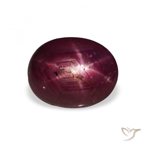 3.20ct طبيعي أحمر غامق ياقوت نجمة, بيضوي, غير شفاف