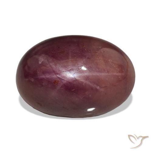 ياقوت نجمة أرجوانى برقوقى طبيعي، بيضوي، 15.06 قيراط، غير شفاف