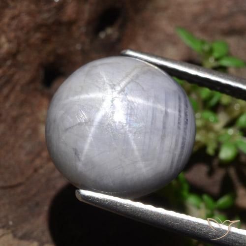 10.97ct طبيعي رمادى فاتح نجمة الياقوت, دائري, غير شفاف