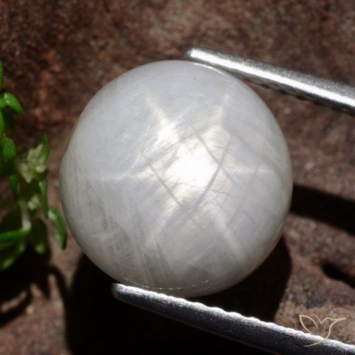 8.80ct طبيعي رمادى فاتح جدا نجمة الياقوت, دائري, غير شفاف