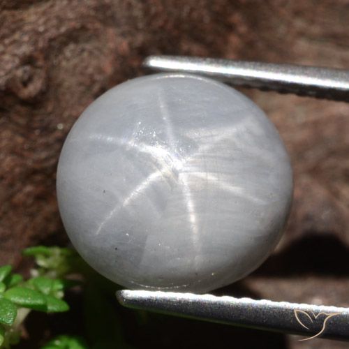 8.96ct طبيعي رمادى متوسط نجمة الياقوت, دائري, غير شفاف
