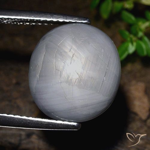 14.39ct طبيعي رمادى مزرق نجمة الياقوت, بيضوي, غير شفاف
