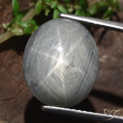13.46ct طبيعي رمادى متوسط نجمة الياقوت, بيضوي, غير شفاف