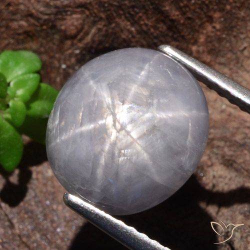 9.39ct طبيعي رمادى فاتح نجمة الياقوت, بيضوي, غير شفاف