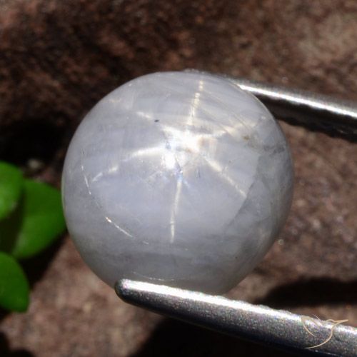 5.35ct طبيعي رمادى فاتح نجمة الياقوت, بيضوي, غير شفاف