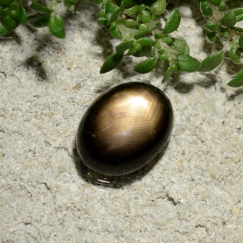 نجمة الياقوت أسود طبيعي، قصة بيضاوى، 2.06 قيراط، غير شفاف