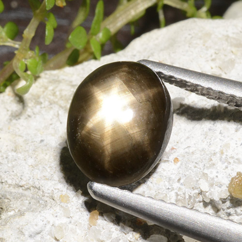 نجمة الياقوت أسود طبيعي، قصة بيضاوى، 2.78 قيراط، غير شفاف