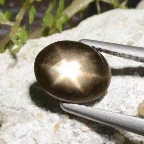 نجمة الياقوت أسود طبيعي، قصة بيضاوى، 2.78 قيراط، غير شفاف