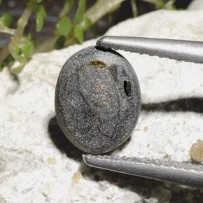 نجمة الياقوت أسود طبيعي، قصة بيضاوى، 2.78 قيراط، غير شفاف