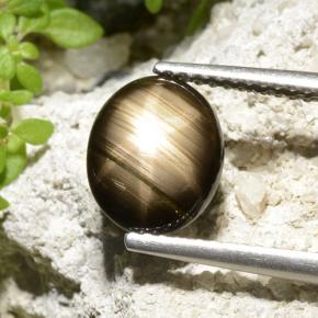 نجمة الياقوت أسود طبيعي، قصة بيضاوى، 2.32 قيراط، غير شفاف