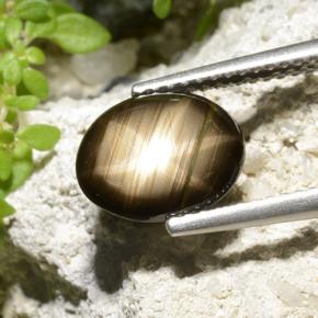 نجمة الياقوت أسود طبيعي، قصة بيضاوى، 2.32 قيراط، غير شفاف