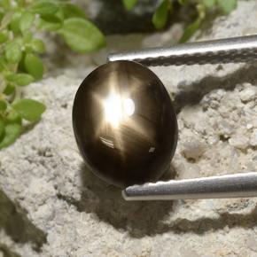 نجمة الياقوت أسود طبيعي، قصة بيضاوى، 3.33 قيراط، غير شفاف