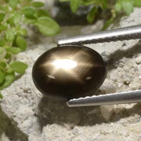 نجمة الياقوت أسود طبيعي، قصة بيضاوى، 3.33 قيراط، غير شفاف