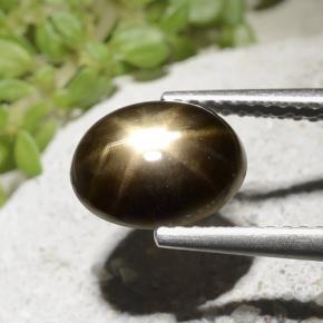 نجمة الياقوت أسود طبيعي، قصة بيضاوى، 2.54 قيراط، غير شفاف