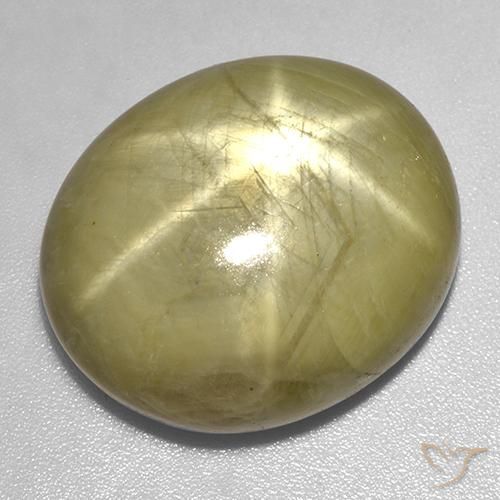 46.06ct طبيعي أصفر ذهبي نجمة الياقوت, بيضوي, غير شفاف
