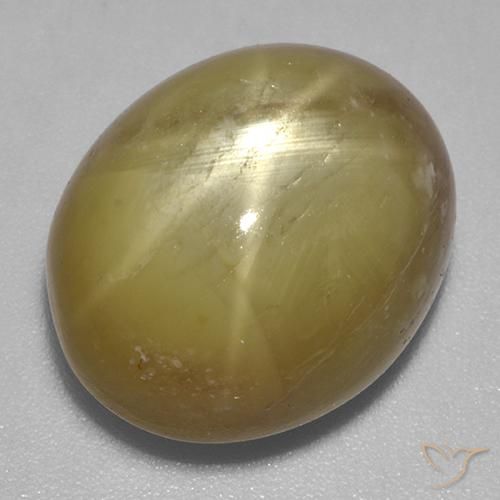 22.44ct طبيعي أصفر ذهبي نجمة الياقوت, بيضوي, غير شفاف