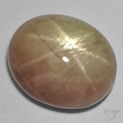 29.51ct طبيعي ذهبى برتقالى نجمة الياقوت, بيضوي, غير شفاف