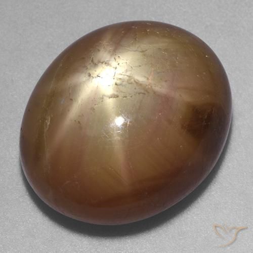 22.20ct طبيعي ذهبى برتقالى نجمة الياقوت, بيضوي, غير شفاف