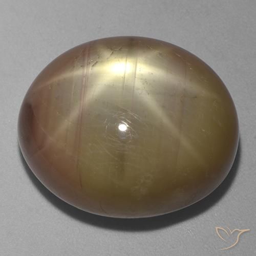 43.69ct طبيعي ذهبى برتقالى نجمة الياقوت, بيضوي, غير شفاف