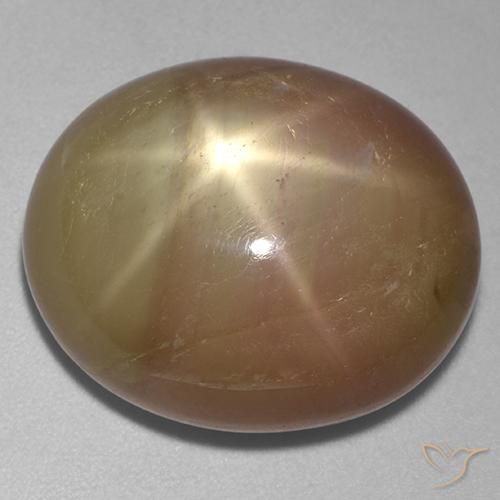 31.95ct طبيعي ذهبى برتقالى نجمة الياقوت, بيضوي, غير شفاف