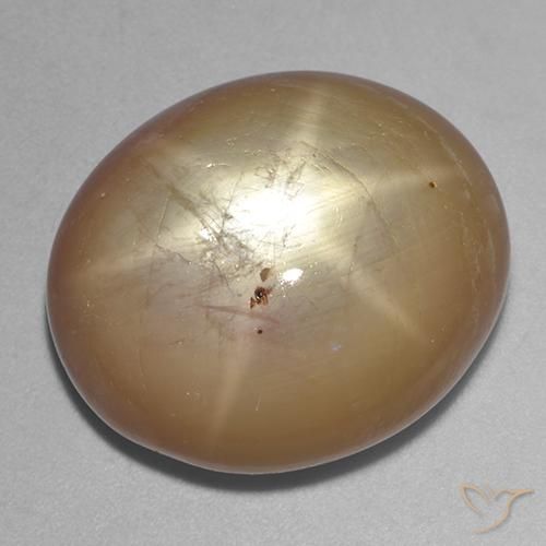 36.43ct طبيعي ذهبى برتقالى نجمة الياقوت, بيضوي, غير شفاف