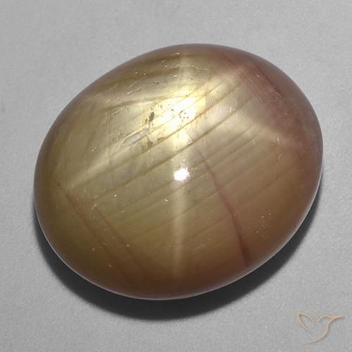 40.06ct طبيعي ذهبى برتقالى نجمة الياقوت, بيضوي, غير شفاف