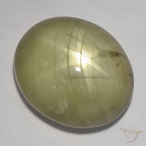 23.11ct طبيعي أصفر محايد نجمة الياقوت, بيضوي, غير شفاف