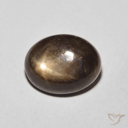 4.26ct طبيعي أسود نجمة الياقوت, بيضوي, غير شفاف