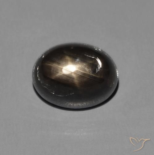 2.72ct طبيعي أسود نجمة الياقوت, بيضوي, غير شفاف
