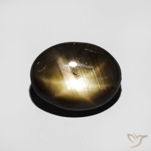 4.82ct طبيعي أسود نجمة الياقوت, بيضوي, غير شفاف