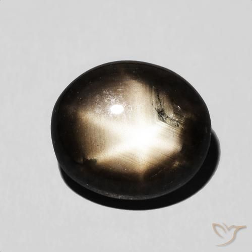 7.12ct طبيعي أسود نجمة الياقوت, بيضوي, غير شفاف