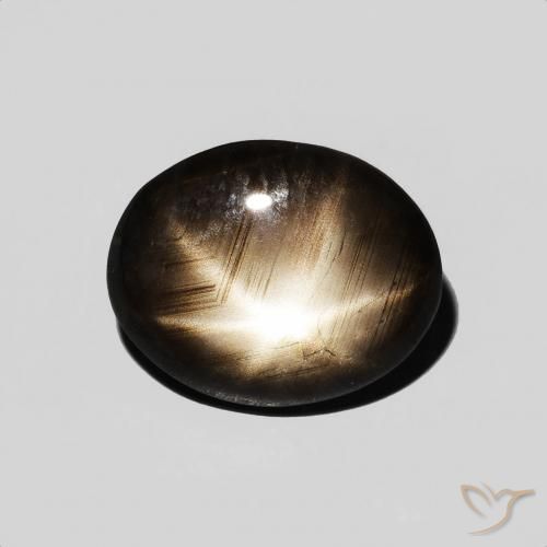 3.89ct طبيعي أسود نجمة الياقوت, بيضوي, غير شفاف
