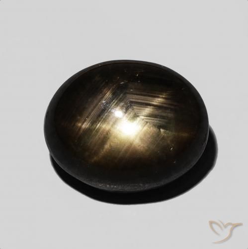 9.54ct طبيعي أسود نجمة الياقوت, بيضوي, غير شفاف