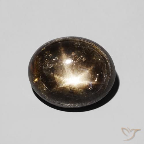 2.74ct طبيعي أسود نجمة الياقوت, بيضوي, غير شفاف