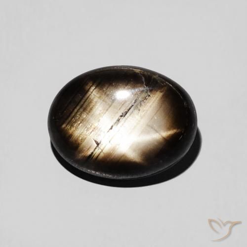 2.97ct طبيعي أسود نجمة الياقوت, بيضوي, غير شفاف