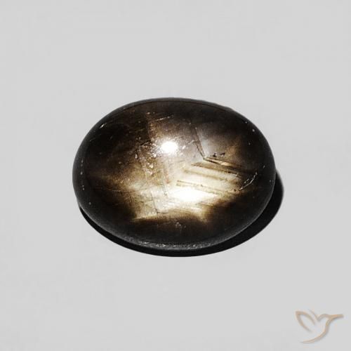 1.29ct طبيعي أسود نجمة الياقوت, بيضوي, غير شفاف