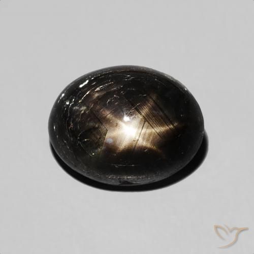 3.50ct طبيعي أسود نجمة الياقوت, بيضوي, غير شفاف