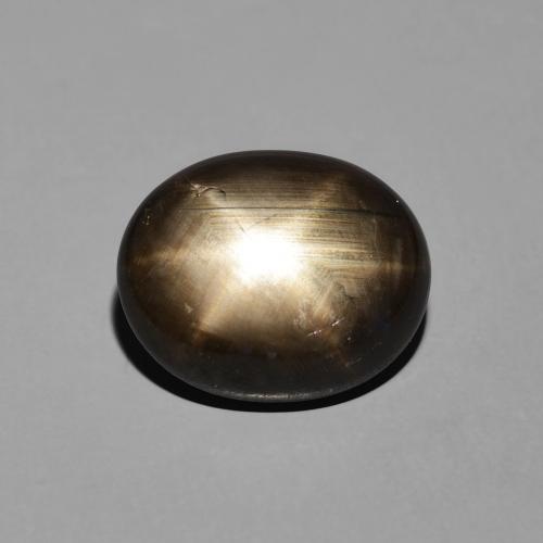 7.64ct طبيعي أسود نجمة الياقوت, بيضوي, غير شفاف