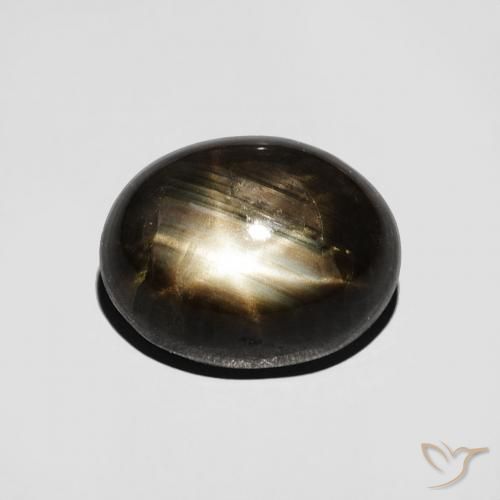 4.67ct طبيعي أسود نجمة الياقوت, بيضوي, غير شفاف