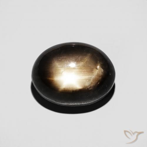 4.91ct طبيعي أسود نجمة الياقوت, بيضوي, غير شفاف