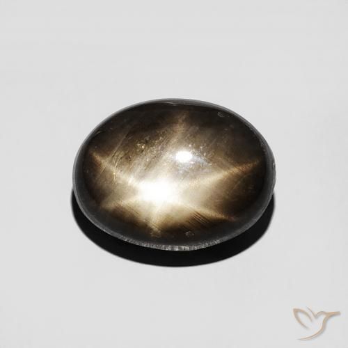 4.61ct طبيعي أسود نجمة الياقوت, بيضوي, غير شفاف