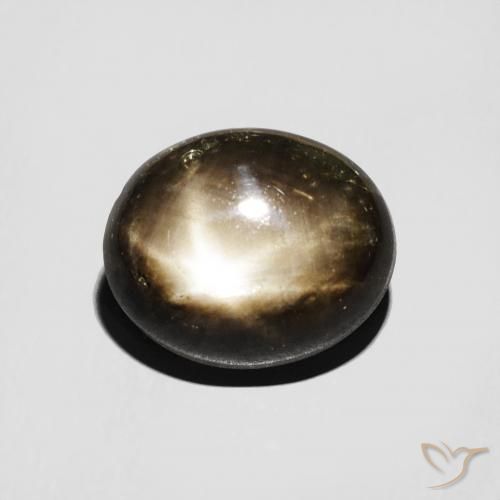 5.09ct طبيعي أسود نجمة الياقوت, بيضوي, غير شفاف