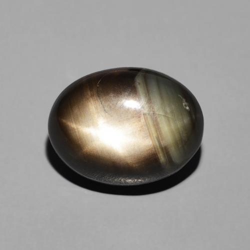 5.17ct طبيعي أسود نجمة الياقوت, بيضوي, غير شفاف