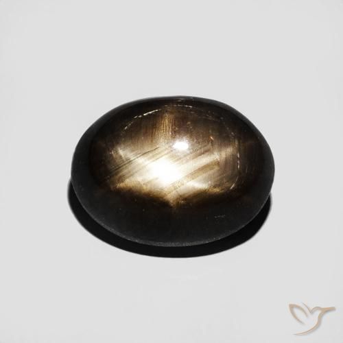 3.16ct طبيعي أسود نجمة الياقوت, بيضوي, غير شفاف