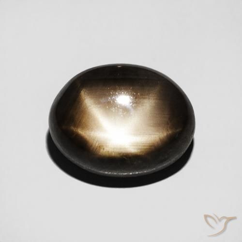 3.50ct طبيعي أسود نجمة الياقوت, بيضوي, غير شفاف