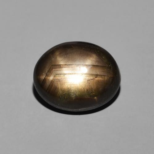 4.70ct طبيعي أسود نجمة الياقوت, بيضوي, غير شفاف