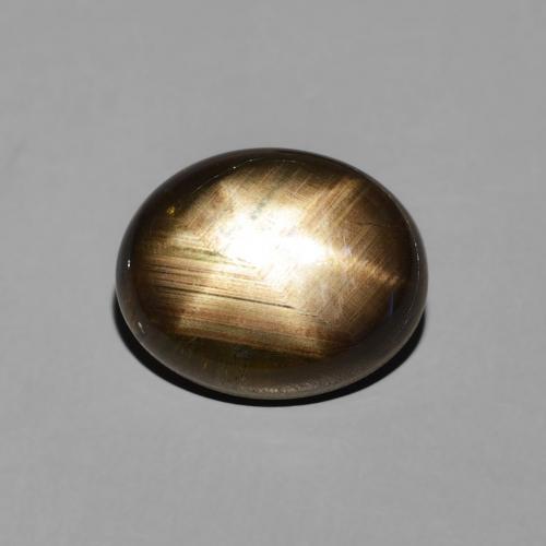 3.50ct طبيعي أسود نجمة الياقوت, بيضوي, غير شفاف